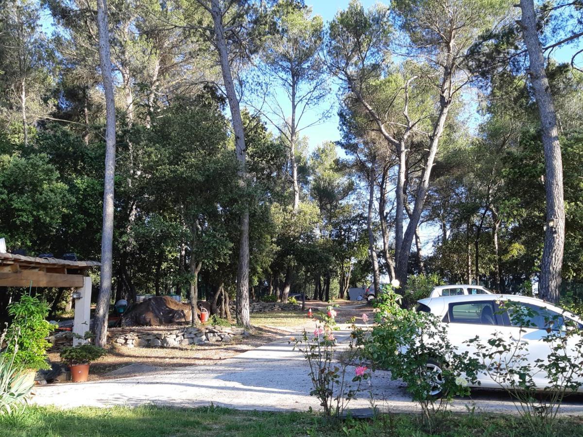 Villa La Licorne Piscine Privee, Jacuzzi, Massages, Tennis, Golf A 9Km Belcodene Eksteriør bilde